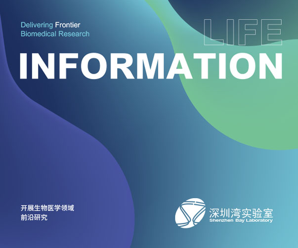 全球領(lǐng)先的vi設(shè)計(jì)客車品牌_為您打造舒適出行