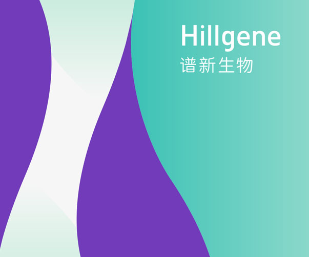 蓮花VI設(shè)計公司-打造獨特品牌形象_專注品質(zhì)創(chuàng)新